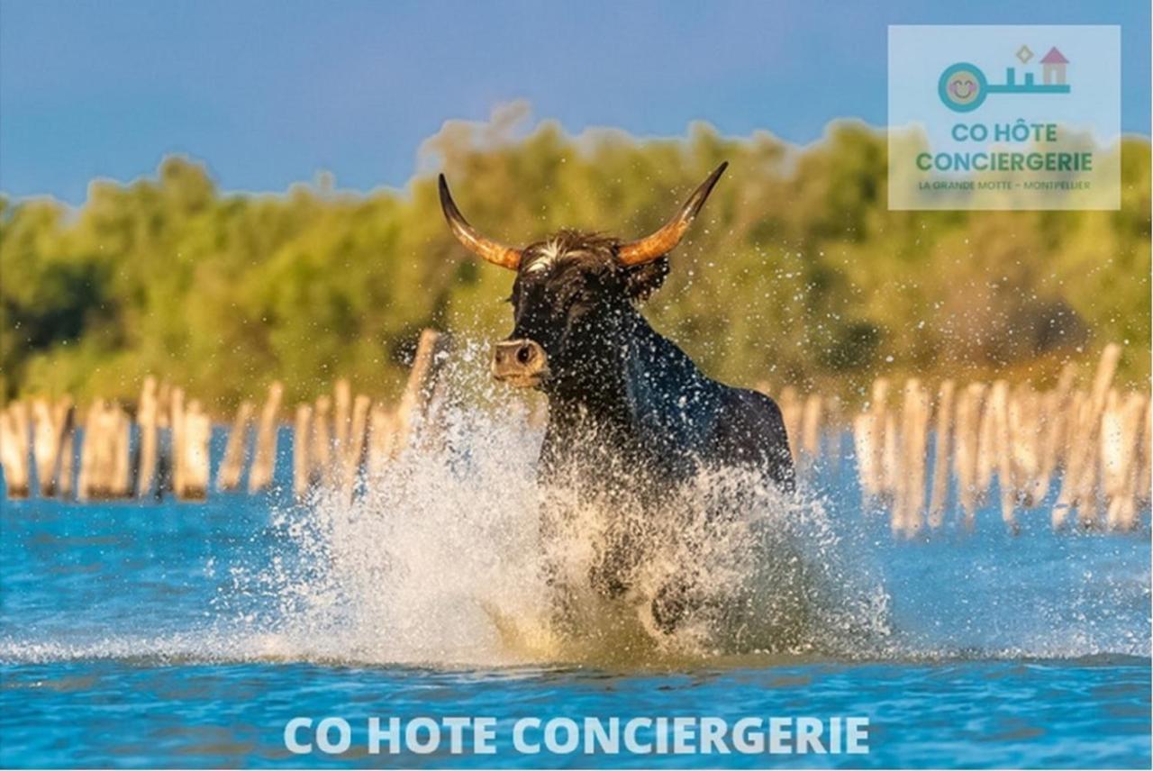 Corail Studio - 2Min Plage Centre Ville - Clim - Wifi - Parking Prive - Ideal Famille - La Grande Motte Экстерьер фото